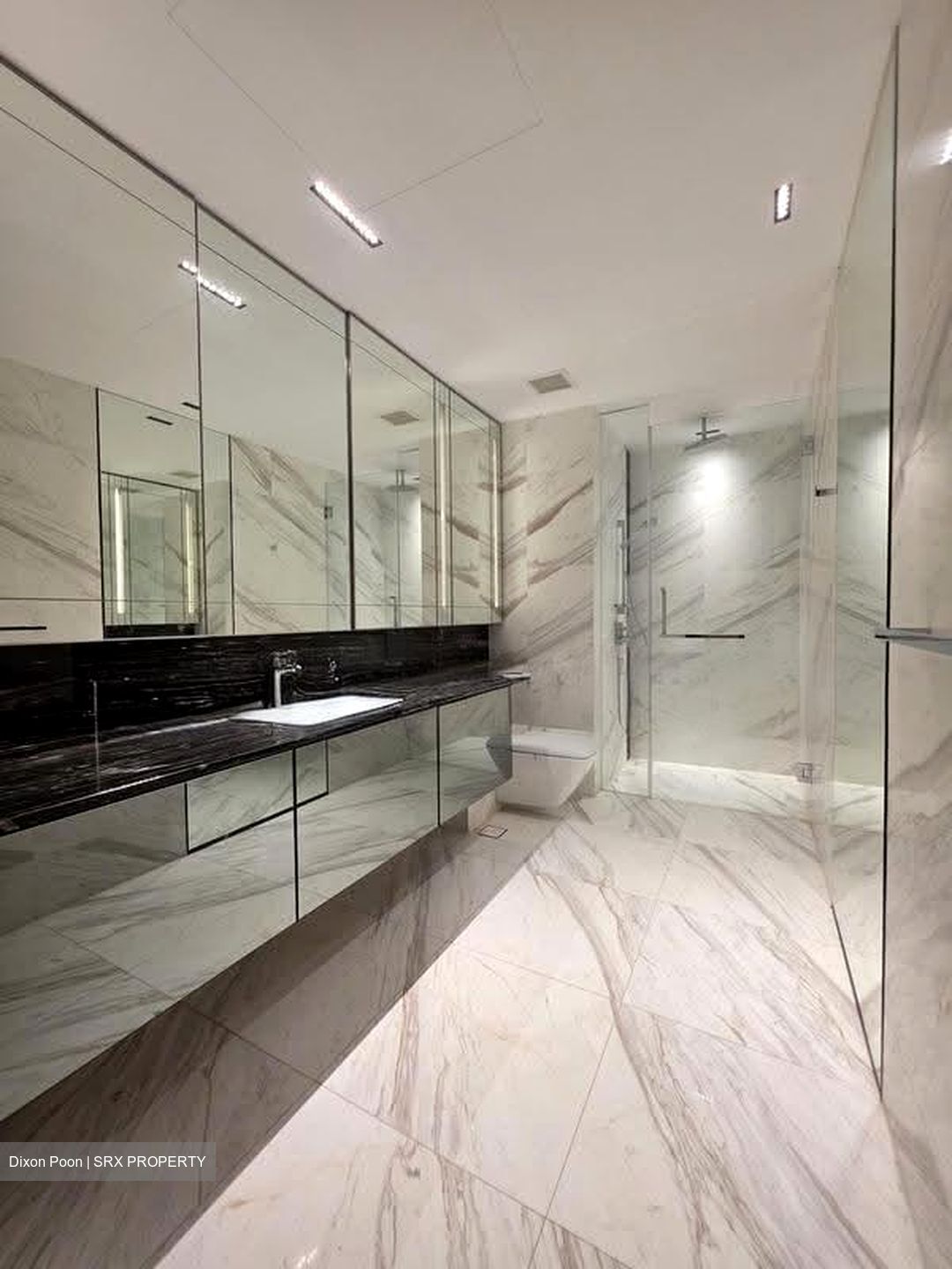 Wallich Residence  (D2), Condominium #627406421